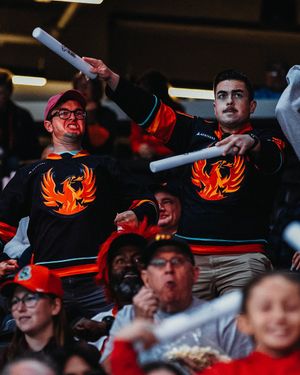 Image post by @Firebirds on Twitter