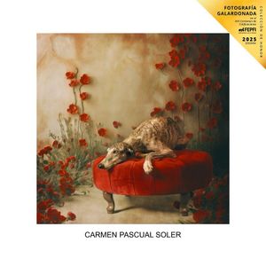Image post by @carmenpascual_fotografia on Instagram