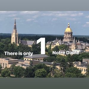 Image post by @ndwomenslax on Instagram