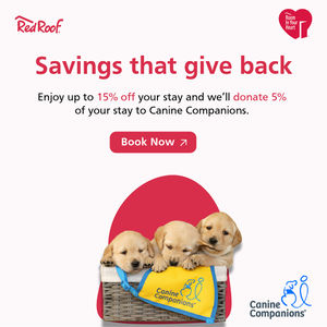 Image post by @canineorg on Instagram
