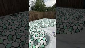 Video post by @thewingrovefamily on YouTube