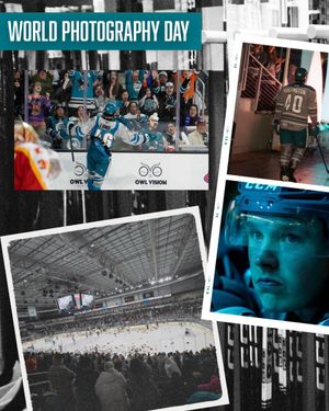 Image post by @sjbarracuda on Twitter