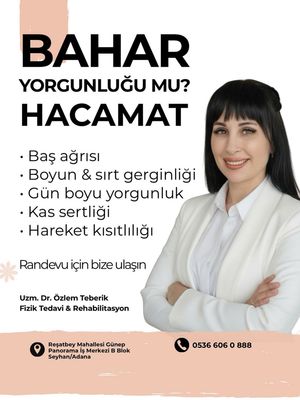 Image post by @drozlemteberik on Instagram