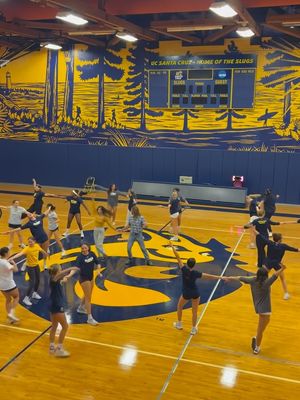 Image post by @ucsc_wvb on Instagram