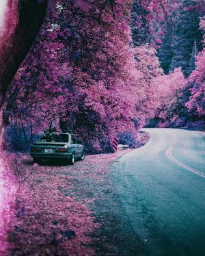 Image post by @samhurly on Instagram