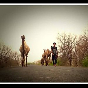 Image post by @amazing_dholera on Instagram