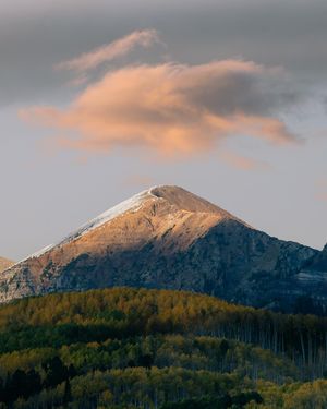 Image post by @mindofmeech_ on Instagram