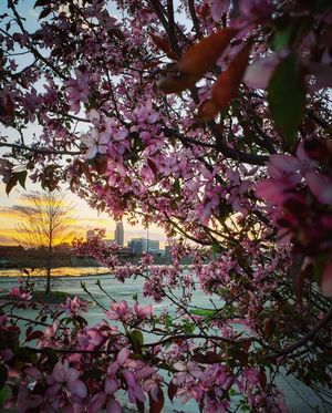 Image post by @visitomaha on Instagram
