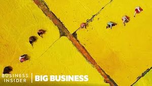 Video post by @businessinsider on YouTube