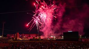 Image post by @trashpandasbaseball on Instagram