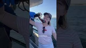 Video post by @bostonwithemily on YouTube