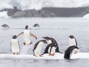 Image post by @discovery on Instagram