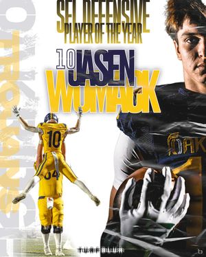 Image post by @turfblur on Instagram