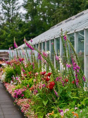 Image post by @kirstenalana on Instagram