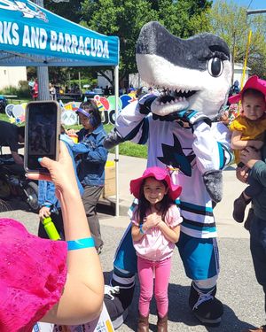 Image post by @officialsjsharkie on Instagram