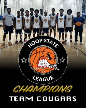 Image post by @phenom_hoops on Instagram