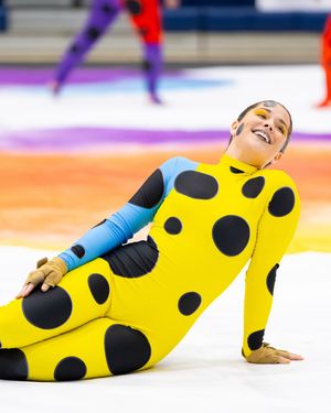 Image post by @wgisportofthearts on Instagram