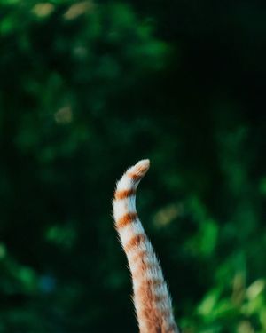 Image post by @fubiz on Instagram