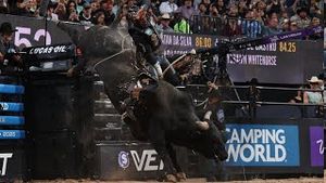 Video post by @pbr on YouTube