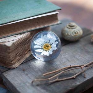 Image post by @leafyaffair on Instagram