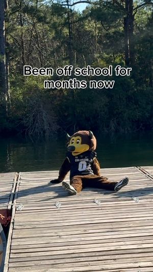 Video post by @chipthebuffalo on Facebook