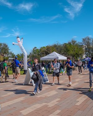 Image post by @fgcu on Instagram