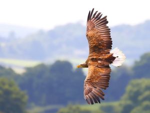 Image post by @rspb on Instagram