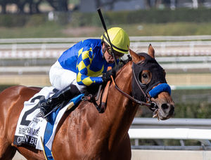 Image post by @BreedersCup on Twitter
