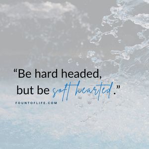 Image post by @fountoflifeco on Instagram