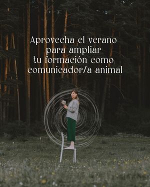 Image post by @amanaturis on Instagram