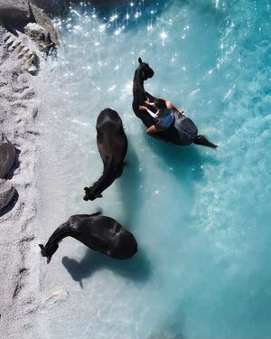 Image post by @droneartgallery on Instagram