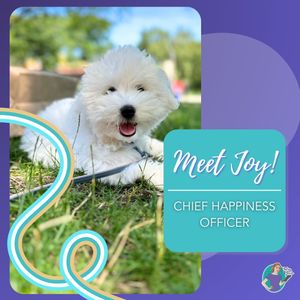 Image post by @betsybash on Instagram