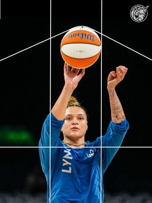 Image post by @minnesotalynx on Instagram