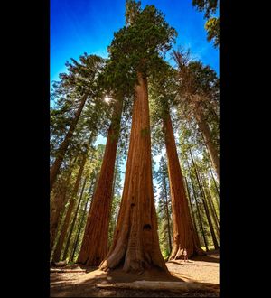 Image post by @nationalparkscollective on Instagram