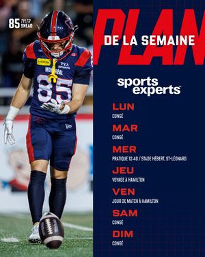 Image post by @mtlalouettes on Instagram