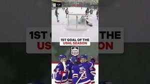 Video post by @flohockey on YouTube