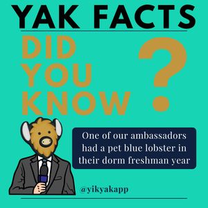 Image post by @yikyakapp on Instagram