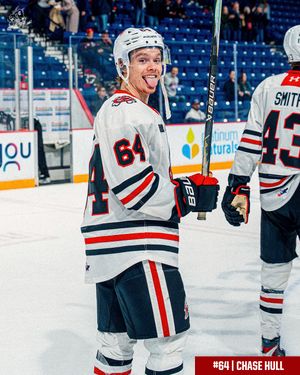 Image post by @ohlicedogs on Instagram