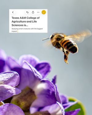 Image post by @aglifesciences on Instagram
