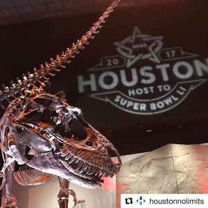 Image post by @housuperbowl on Instagram