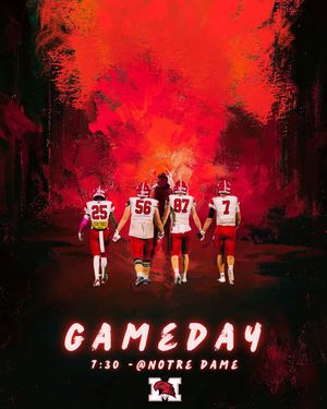 Image post by @redhawkfb on Instagram