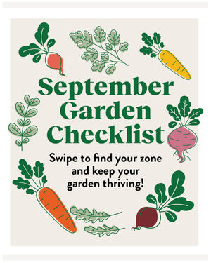 Image post by @burpeegardening on Instagram