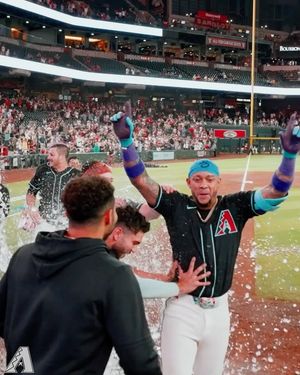 Image post by @dbacks on Instagram