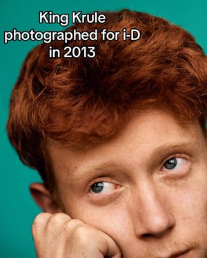 Video post by @i_d on TikTok