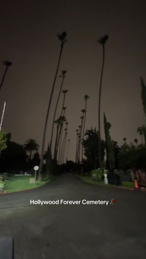 Video post by @itsanlathing on TikTok