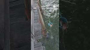 Video post by @accuweather on YouTube
