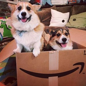 Image post by @amazon on Instagram