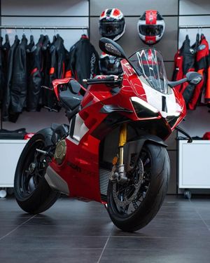 Image post by @panigalers on Instagram