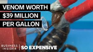 Video post by @businessinsider on YouTube