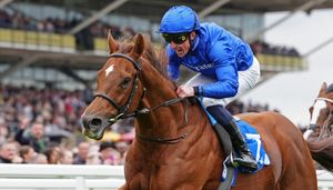 Image post by @godolphin on Instagram